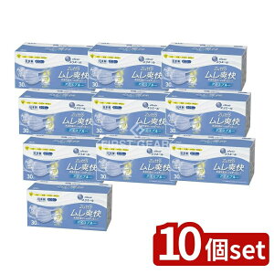 y10Zbgz 剤 GG[ Zutto u ACXu[ ӂ [Pie/30] | GG[ }XN nCp[ubN}XN u ACXu[ tFCX}XN ubN\