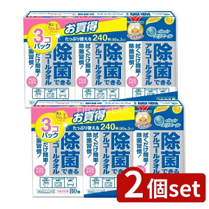 y2Zbgz 剤 GG[ۃAR[^Il80×3P [Pie/3] | GG[  AR[^I EFbgeBbV ۗp^I AR[ ^I 剤