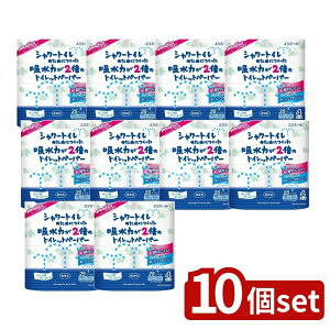 _r[TL^y10Zbgz 剤 V[z͂2{̃gCbg [Pie/4] | gCbgy[p[ V[gC z 剤 GG[ _u  sAp