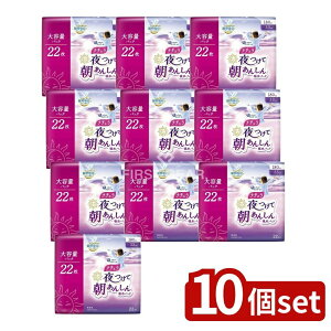 y10Zbgz 剤 i`Ē񂵂zpbh33Z` [Pie/22] | 剤 zpbh GG[ p pbh i` L@\ ʋCV[g uԋz X