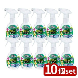 _r[TL^y10Zbgz {e peBNhLvXV [Pie/300ml] | L`[ eBN p hLN[i[  { ۍ rp AJ|