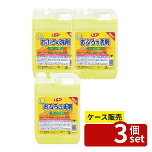 _r[TL^y 3Zbgz Ό [L[V ӂ̐ [Pie/4L] | Ɩp [L[V ӂ̐  C ʑ ^C ܋lߑւ 