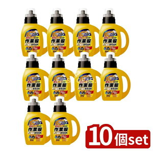 y10Zbgz Ό h[Nu ƕpt̐ { [Pie/800g] | h[Nu  ƕ t̐  pi uܕsgp pr { 