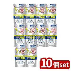 _r[TL^y10Zbgz Ό ΌړIZpAR[ۃXv[ l֗p [Pie/360ml] | AR[ ړI Ό ۃXv[ { AY