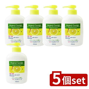 y5Zbgz Ό Όpnh\[v{ [Pie/250ml] | pnh\[v t̃nh\[v O[vt[cΌ 􂢐Ό 蔧ɗDnh\[v ێ _C