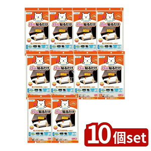 y10Zbgz mA~GR[v_Nc pbƓ\邾 ӂ[^ [Pie/3] | tB^ Wt[h tB C tB^[ Lb` tB^[V[g StB