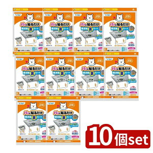 y10Zbgz mA~GR[v_Nc pbƓ\邾pV[g [Pie/2] | CtB^[ mA~ tB V[g Wt[htB^[ pb