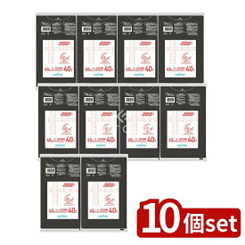 ＼レビュー特典有／【10個セット】 日本サニパック エコノパックエンボス黒45L EP52 [単品内容量/40枚] | 日本サニパック ゴミ袋 エコノパック エンボス 黒 便利 収納 家庭用 環境配慮 清掃用品 リサイクル シンプル 日用品 使い捨て 薄物省資源 タイプ