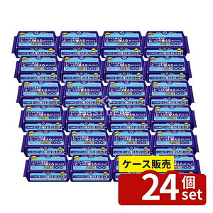 _r[TL^y 24Zbgz {NVA ANeBgCɗ邨ӂ [Pie/100] | {NVA ANeB ӂ gC EFbgeBbV