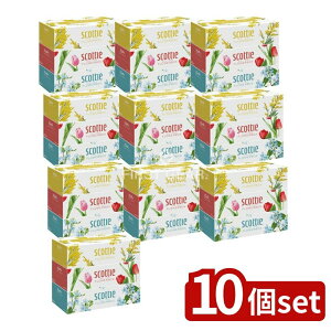 _r[TL^y10Zbgz {NVA XRbeBt[{bNX250W [Pie/3] | eBbV XRbeB t[{bNX eBbVy[p[ eBbV {bNX