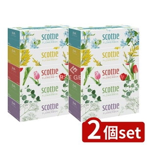 _r[TL^y2Zbgz {NVA XRbeBt[{bNX250W [Pie/5] | XRbeB eBbV t[{bNX XRbeB eBbV eBbVy[p