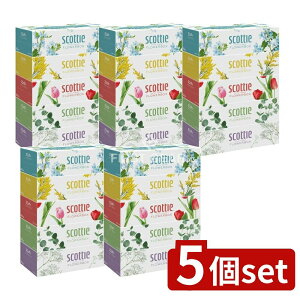 _r[TL^y5Zbgz {NVA XRbeBt[{bNX250W [Pie/5] | XRbeB eBbV t[{bNX XRbeB eBbV eBbVy[p