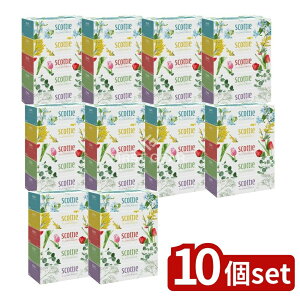 _r[TL^y10Zbgz {NVA XRbeBt[{bNX250W [Pie/5] | XRbeB eBbV t[{bNX XRbeB eBbV eBbVy[p