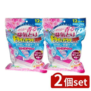 y2Zbgz A[X hC&hCUP oEߑP[Xp t[u[P̍ [Pie/12] | A[X hC  op t[ [P[X LV[