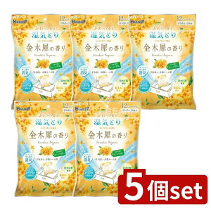 y5Zbgz A[X hC&hCUP oEߑP[Xp ؍҂̍ [Pie/12] |  hC A[X CƂ ؍ op ߑP[Xp V[g EL 