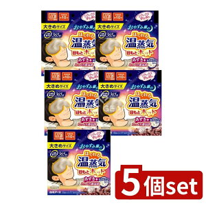 �_���r���[���T�L�^�y5�Z�b�g�z �����A�[�X �����b�N�X�䂽�ۂ� �ڂ��ƃz�b�g �ق���鉷���C �傫�߃T�C�Y [�P�i���e��/1��] | �����b�N�X�䂽�ۂ� �ڂ��ƃz�b�g ���M�p�i ������ �����C 