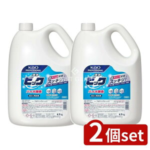 _r[TL^y2Zbgz ԉv t̃rbN oCIyf Ɩp [Pie/4500g] | t̐ ԉ oCIyf  Ɩp   uܔz { HX RbN 