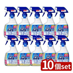 _r[TL^y10Zbgz ԉv AnC^[1000Ɩp [Pie/400ml] | ԉvtFbVi AnC^[ Ɩp A ۃXv[ f_ Eʊ 