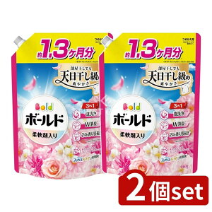 _r[TL^y2Zbgz P&G {[hWF؂₩v~AubT̍߂pW{TCY [Pie/960g] | {[h  _ t _ܓ {[h