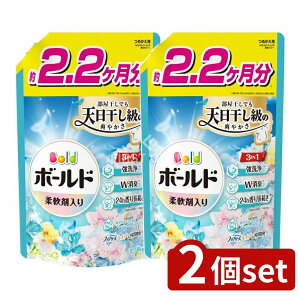 y2Zbgz P&G {[hWFu₩tbVt[T{̍߂pEgW{TCY [Pie/1580g] | {[h  {[h t _ܓ  u₩