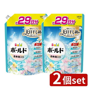 y2Zbgz P&G {[hWFu₩tbVt[T{̍߂pTCY [Pie/690g] | {[h  P&G _  t  L  1 t