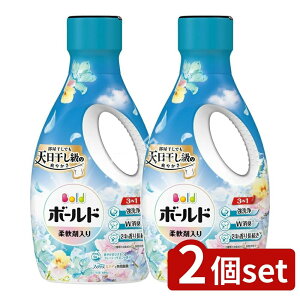 y2Zbgz P&G {[hWFu₩tbVt[T{̍{ [Pie/680g] | P&G  {[hWF  _ܓ  V t̐ tbVt