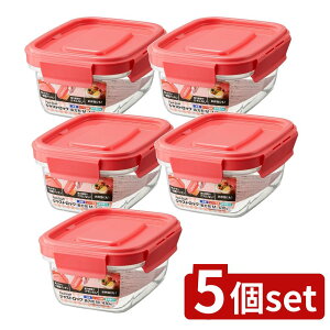 y5Zbgz GrX pbNX^bt WXgbN`M [Pie/1] | GrX ۑe pbNX^bt WXgbN ` Hiۑ e ⓀΉ ٓe H@Ή JI