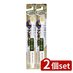 _r[TL^y2Zbgz GrX Ƀv~APA 炩 [Pie/1{] |  v~APA  uV 炩 A I[PA { GrX 