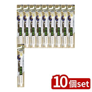 _r[TL^y10Zbgz GrX Ƀv~APA 炩 [Pie/1{] |  v~APA  uV 炩 A I[PA { GrX 