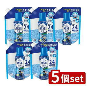 y5Zbgz P&G mAϕxLRۃr[Y X|[c N[tbV&VgX̍ ߂p [Pie/1040ml] | mA ϕxL r[Y SPORTS N[tbV