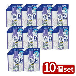 y10Zbgz P&G mAϕxLRۃr[Y 󑅂̖hJr N[tbV̍߂p [Pie/1040ml] | PG mA L Lr[Y N[tbV 