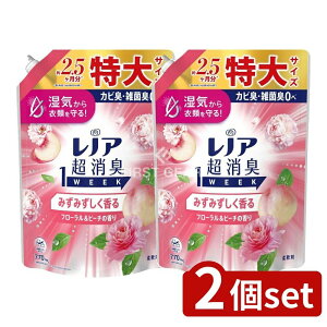 y2Zbgz P&G mAL1week݂݂t[&s[`̍߂pTCY [Pie/770ml] | mA_ mAL _ t[ s[` ݂݂