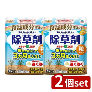 y2Zbgz A[X A[XK[f ̑R ^Cv [Pie/3kg] | A[X  A[XK[f R ^Cv   Op    