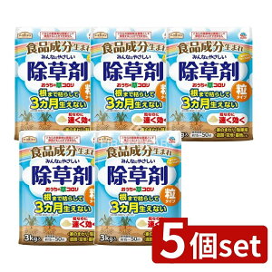 y5Zbgz A[X A[XK[f ̑R ^Cv [Pie/3kg] | A[X  A[XK[f R ^Cv   Op    