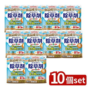 y10Zbgz A[X A[XK[f ̑R ^Cv [Pie/3kg] | A[X  A[XK[f R ^Cv   Op    