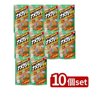 y10Zbgz A[X A[XK[f iNW e 쏜GT^Cv [Pie/8] | A[XK[f iNW A[X 쏜GT^Cv 쏜 iNWGT { 