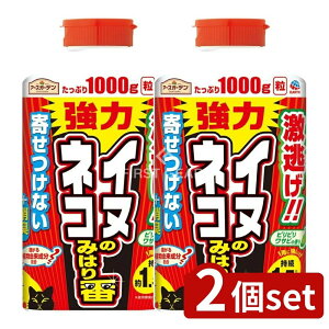 y2Zbgz A[X A[XK[fCkElR݂̂͂ [Pie/1000g] | A[X  L N   tA L A[XK[f K[fjO   { 