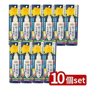 y10Zbgz A[X A[XK[f؂ԖlԐp [Pie/100ml] | A[X ؉ l ؉ԑNxێ Ԑp A[XK[f ؉ԉ RpNge vbV 