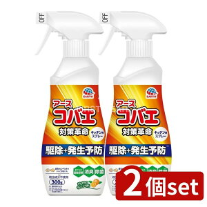 _r[TL^y2Zbgz A[X A[XRoG Xv[ Lb`p [Pie/300g] | A[X RoG Xv[ Lb`p Lb` R E 悯Xv