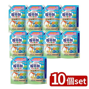 y10Zbgz A[X ̑R ߂ [Pie/850ml] | A[X R   [jSP   ԏ n[u  t _kn yS_ G