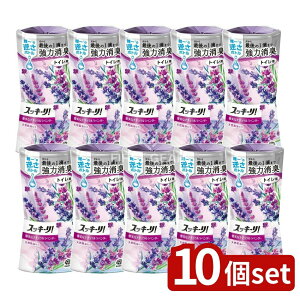 y10Zbgz A[X gC̃XbL[! Sukki]ri! Dȃi`x_[ [Pie/400ml] | A[X gCp L A} x_[  t LF XbL[