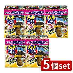 _r[TL^y5Zbgz A[X n`zCzC [Pie/1] | n`pߊl Iߊl ݒu@ ʓIݒuꏊ  ߂܂ Opߊl Sgp g 