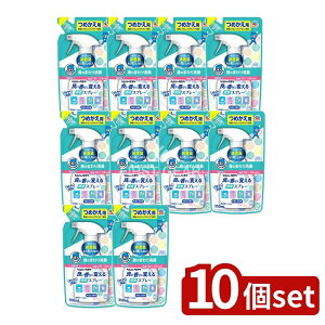 _r[TL^y10Zbgz A[X wp[^XP ǂɕς LXv[ Kt[̍ ߂ [Pie/350ml] | wp[^XP LXv[ t[