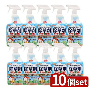 y10Zbgz A[X ݂Ȃɂ₳܂̑R [Pie/1000ml] | A[X  A[XK[f R Xv[ Xv[^Cv _knp z ȒPU