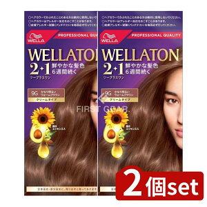 y2Zbgz EG EGg[2+1N[^Cv9G [Pie/120g] | EGg[ wAJ[ 򕔊Oi p wAJ[ N[^Cv EGg[wAJ[ 邢wAJ