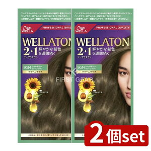 y2Zbgz EG EGg[2+1N[^Cv9GM [Pie/127g] | 򕔊Oi wAJ[ EGg[ N[^Cv F wAJ[  ep  th~ T