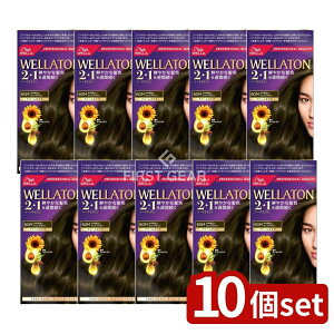 y10Zbgz EG EGg[c[vX N[^Cv 6GM [Pie/120g] | EGg[  p EGg[ N[  N[^Cv wAJ[ 