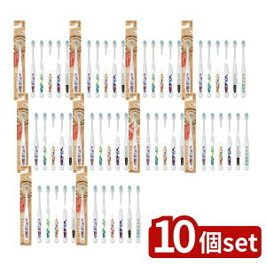 _r[TL^y10Zbgz GrX B-3640M LET'S vObvnuV ӂ [Pie/1{] | ӂ uV GrX vObv ql ߒ ׃wbh  XpCG