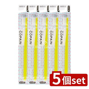 _r[TL^y5Zbgz GrX B-8062H RpnuV  [Pie/1{] | GrX nuV Rp  uV { Obv݌v ANZgJ[ Xg[gJbg