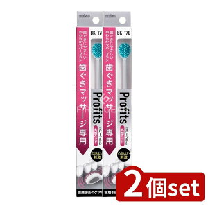 _r[TL^y2Zbgz GrX BK-170 vtBbcE170 [Pie/1{] | vtBbc uV { o[uV ی^wbh RV̂uV 炩uV J[unh